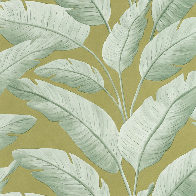 BORN106547122 Tropicalia Borneo Wallpaper by Caselio