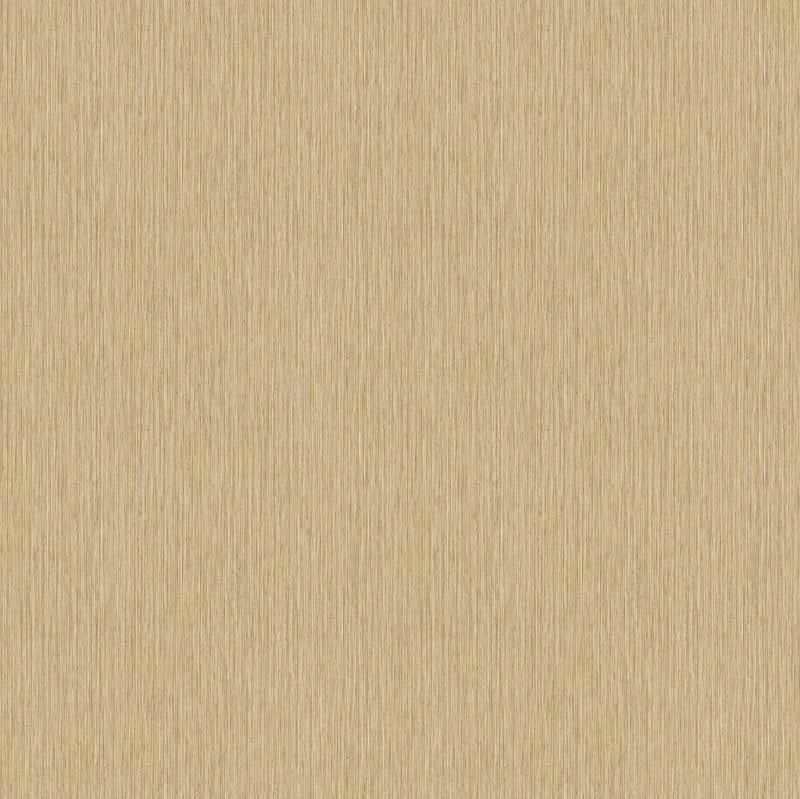 BR24003 Plain Shades of Colour Wallpaper By Galerie