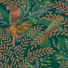 Guacamayos Turquesa Bossa Nova Wallpaper by Tres Tintas