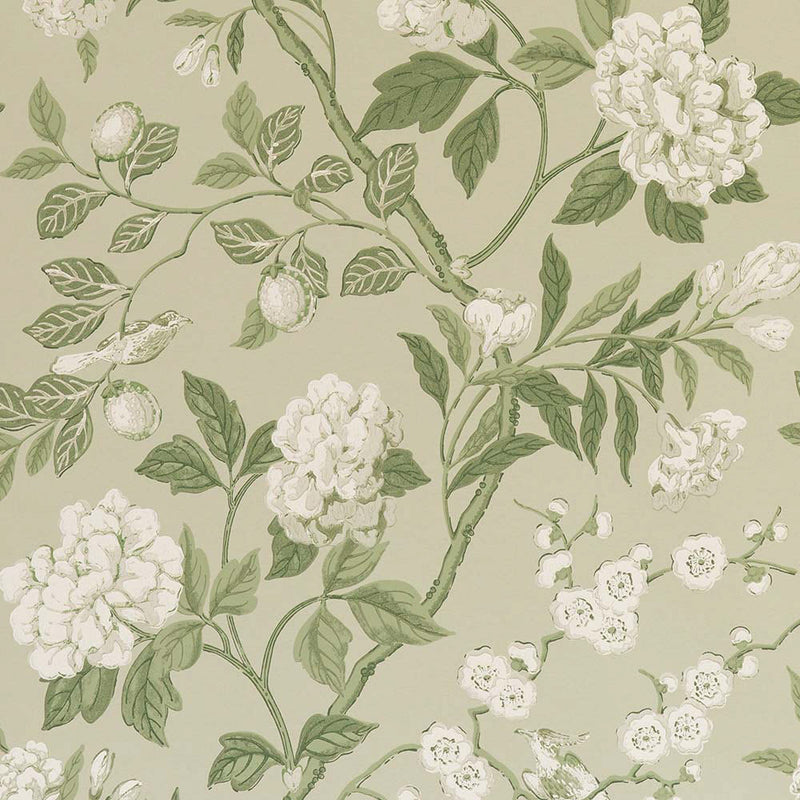 BW45000-10 Emperors Garden Soft Green Signature II Wallpaper by GP & J Baker