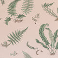 Ferns Blush Signature II Wallpaper by GP & J Baker