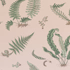 BW45044-11 Ferns Blush Signature II Wallpaper by GP & J Baker