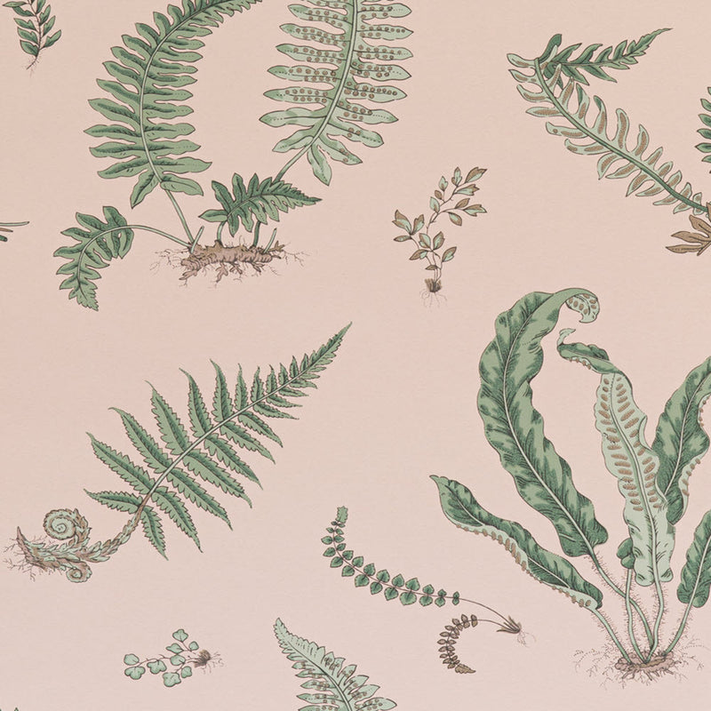 BW45044-11 Ferns Blush Signature II Wallpaper by GP & J Baker