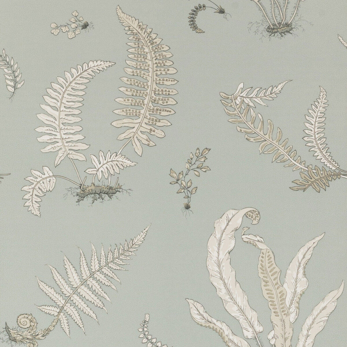 BW45044-07 Ferns Signature II Soft Blue Wallpaper by GP & J Baker