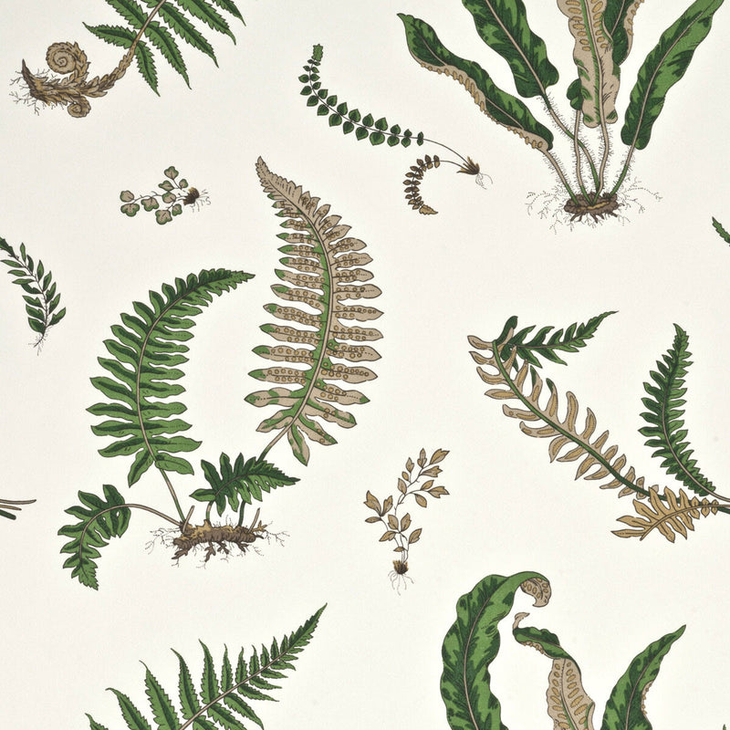 BW45044-1 Ferns Larkhill Wallpaper By G. P & J Baker