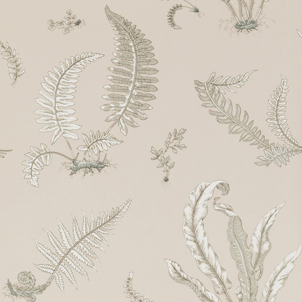 BW45044/8 Ferns Signature Wallpaper By GP & J Baker