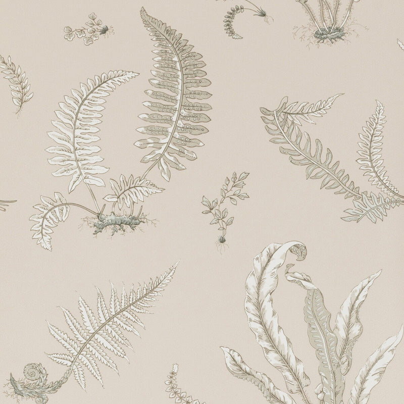 BW45044/8 Ferns Signature Wallpaper By GP & J Baker