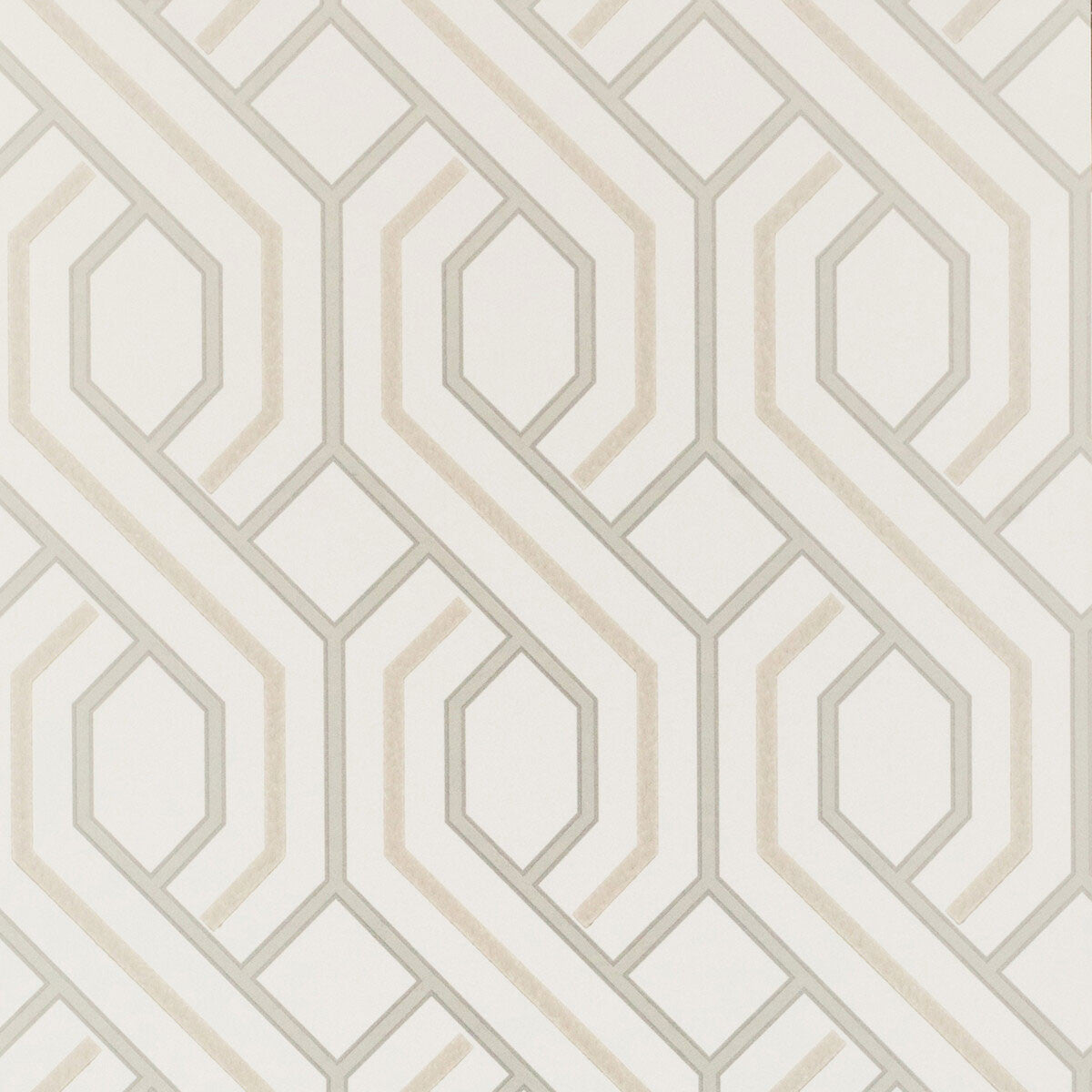 BW45081/1 Parterre Signature Wallpaper By GP & J Baker