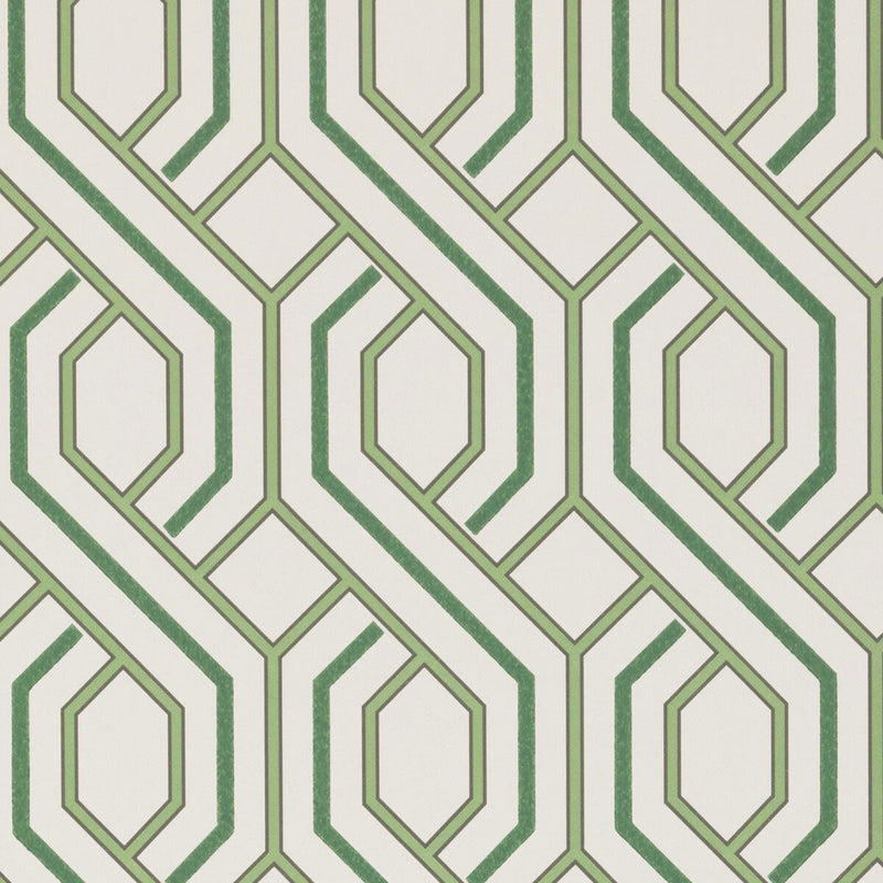 BW45081/5 Parterre Signature Wallpaper By GP & J Baker