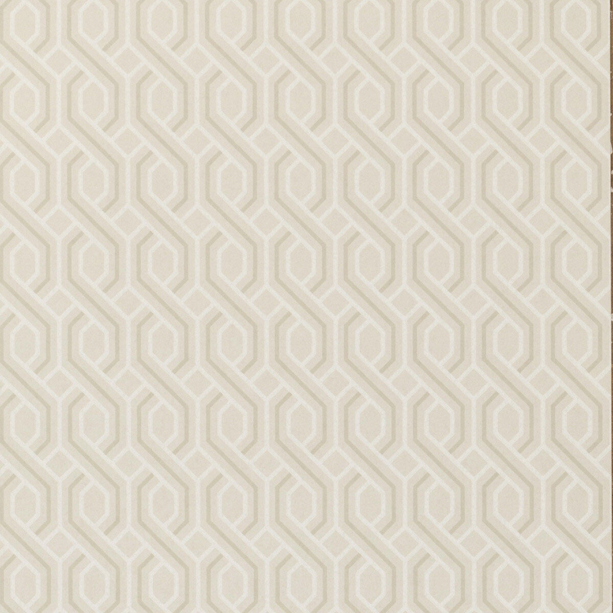 BW45082/1 Boxwood Trellis Signature Wallpaper By GP & J Baker