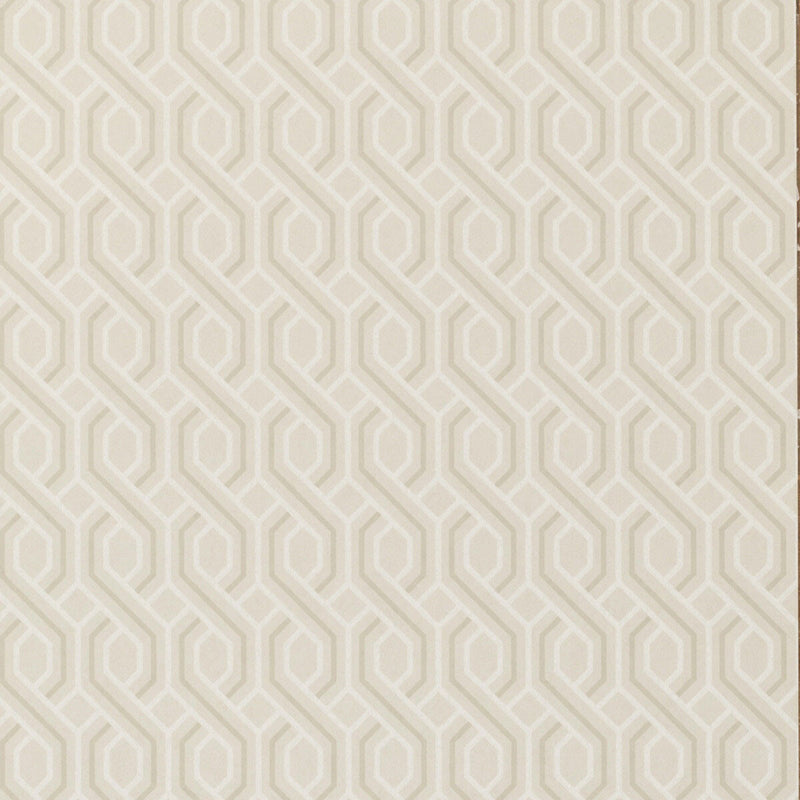 BW45082/1 Boxwood Trellis Signature Wallpaper By GP & J Baker