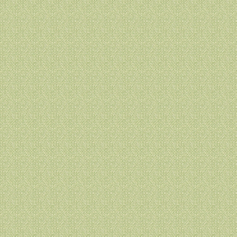 BW45118/1 Tilly House Small Prints Green Wallpaper By GP & J Baker