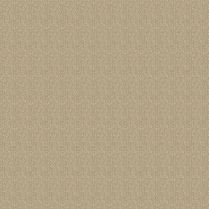 BW45118/8 Tilly House Small Prints Charcoal Wallpaper By GP & J Baker