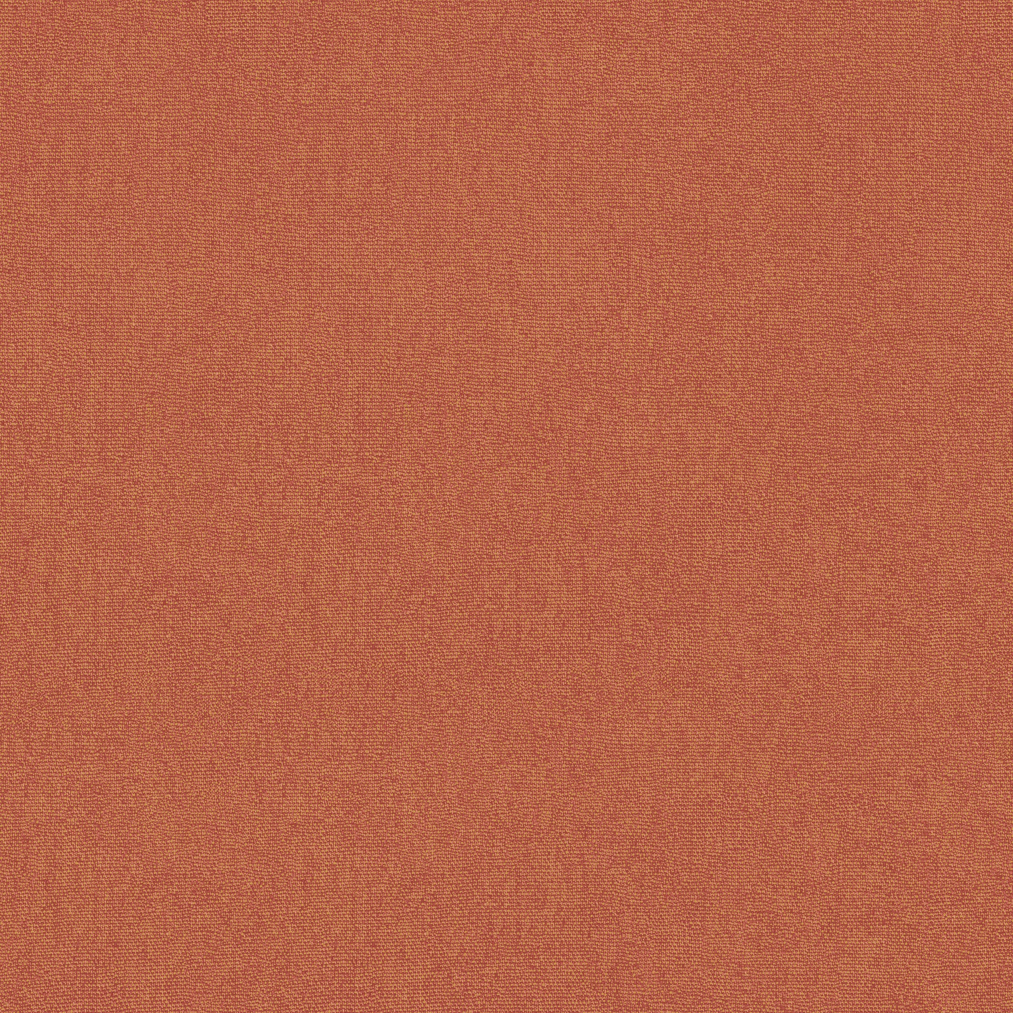 BW45168_366 Cubby Clementine Kit Kemp Wallpapers II Cubby Wallpaper by GP & J Baker