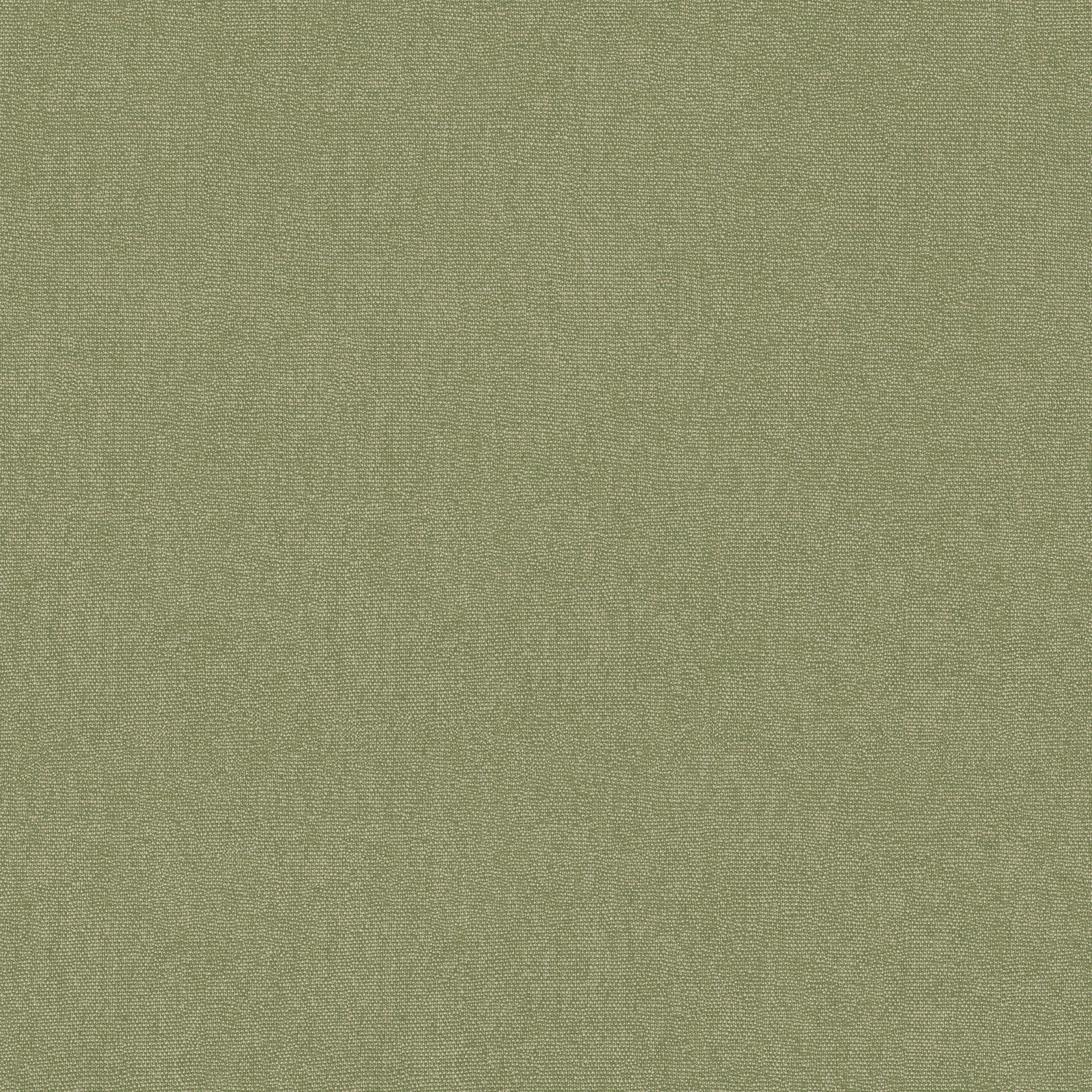 BW45168_736 Cubby Grass Kit Kemp Wallpapers II Cubby Wallpaper by GP & J Baker