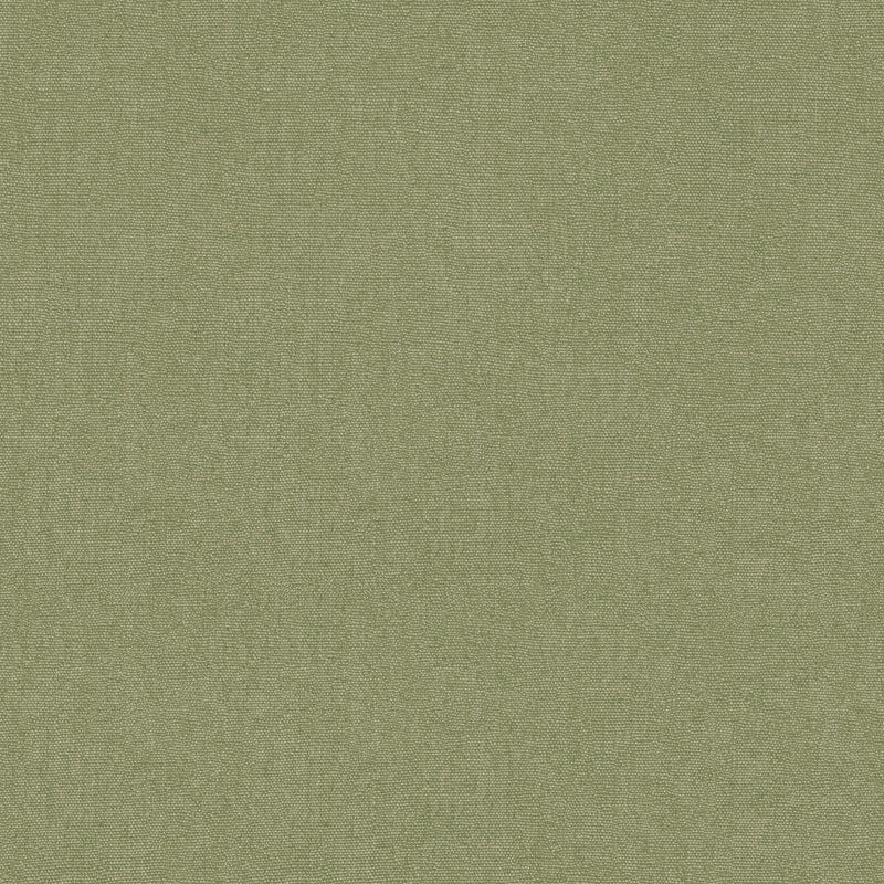 BW45168_736 Cubby Grass Kit Kemp Wallpapers II Cubby Wallpaper by GP & J Baker