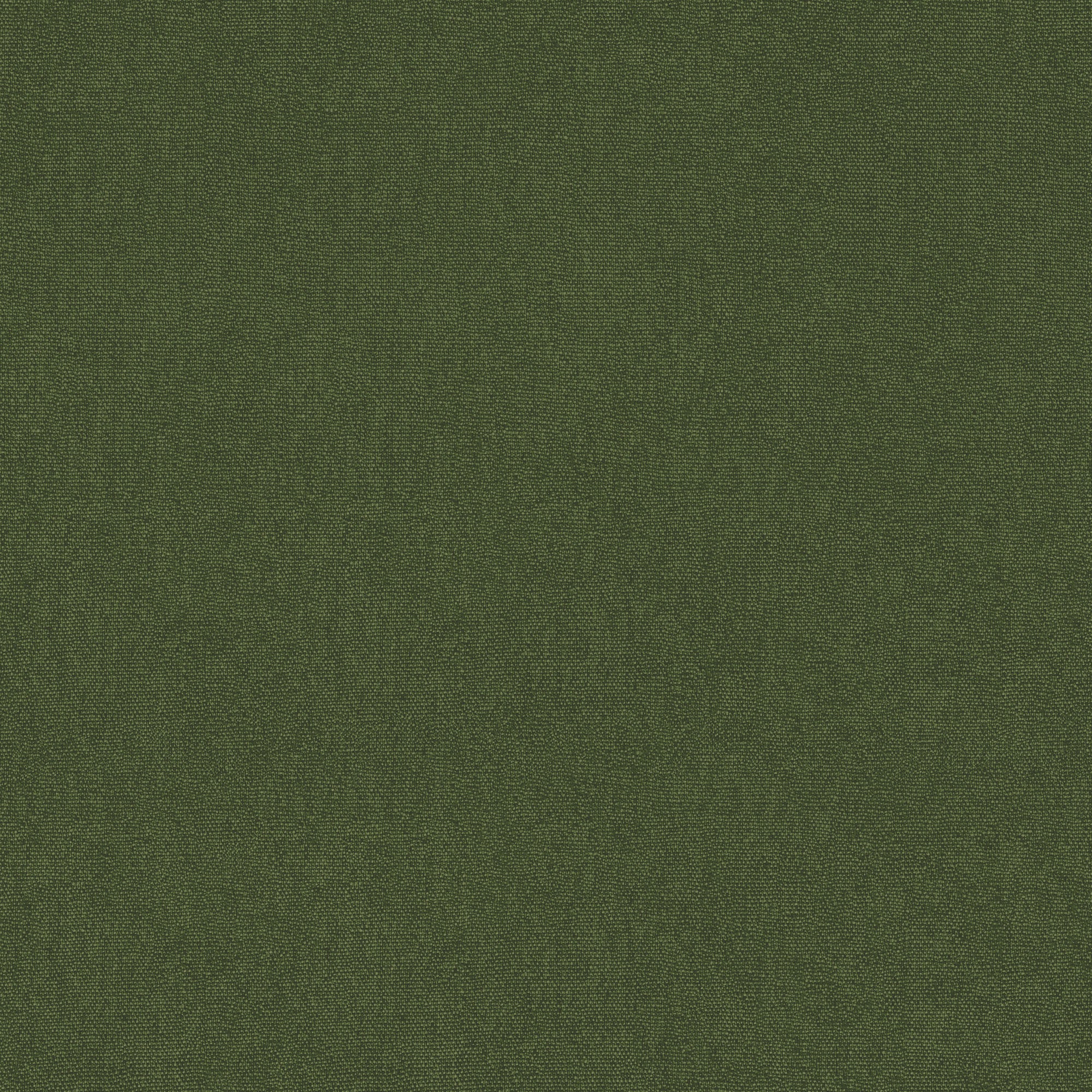 BW45168_794 Cubby Forest Kit Kemp Wallpapers II Cubby Wallpaper by GP & J Baker