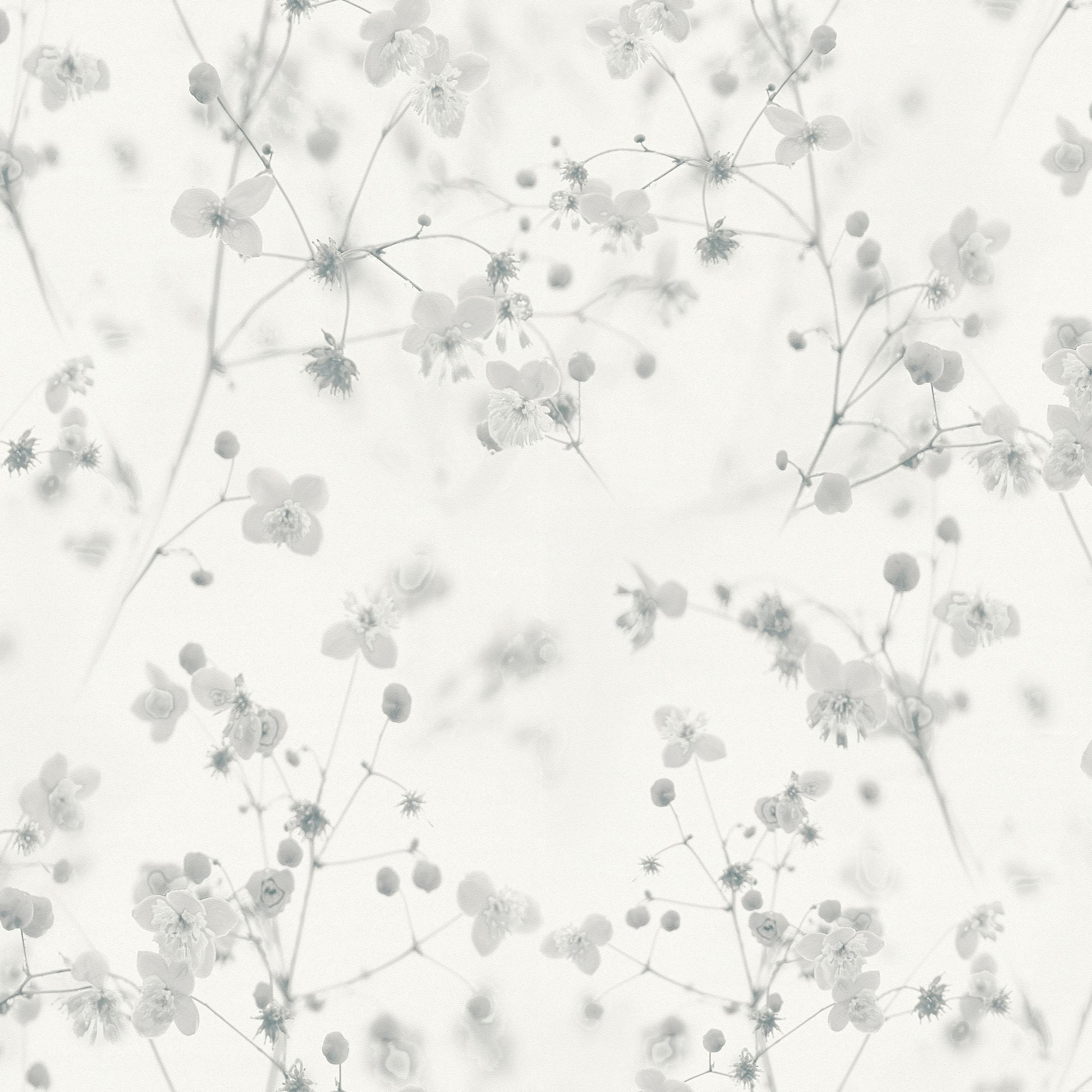 BW51034 Delicate Buttercup Motif Blooming Wild White and Grey Wallpaper By Galerie