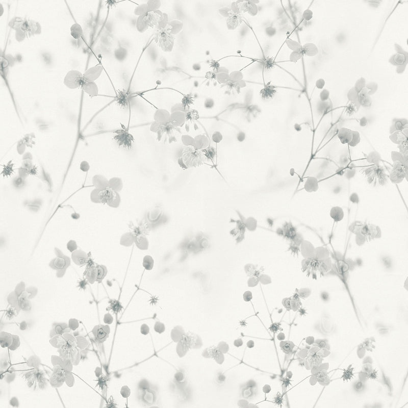 BW51034 Delicate Buttercup Motif Blooming Wild White and Grey Wallpaper By Galerie