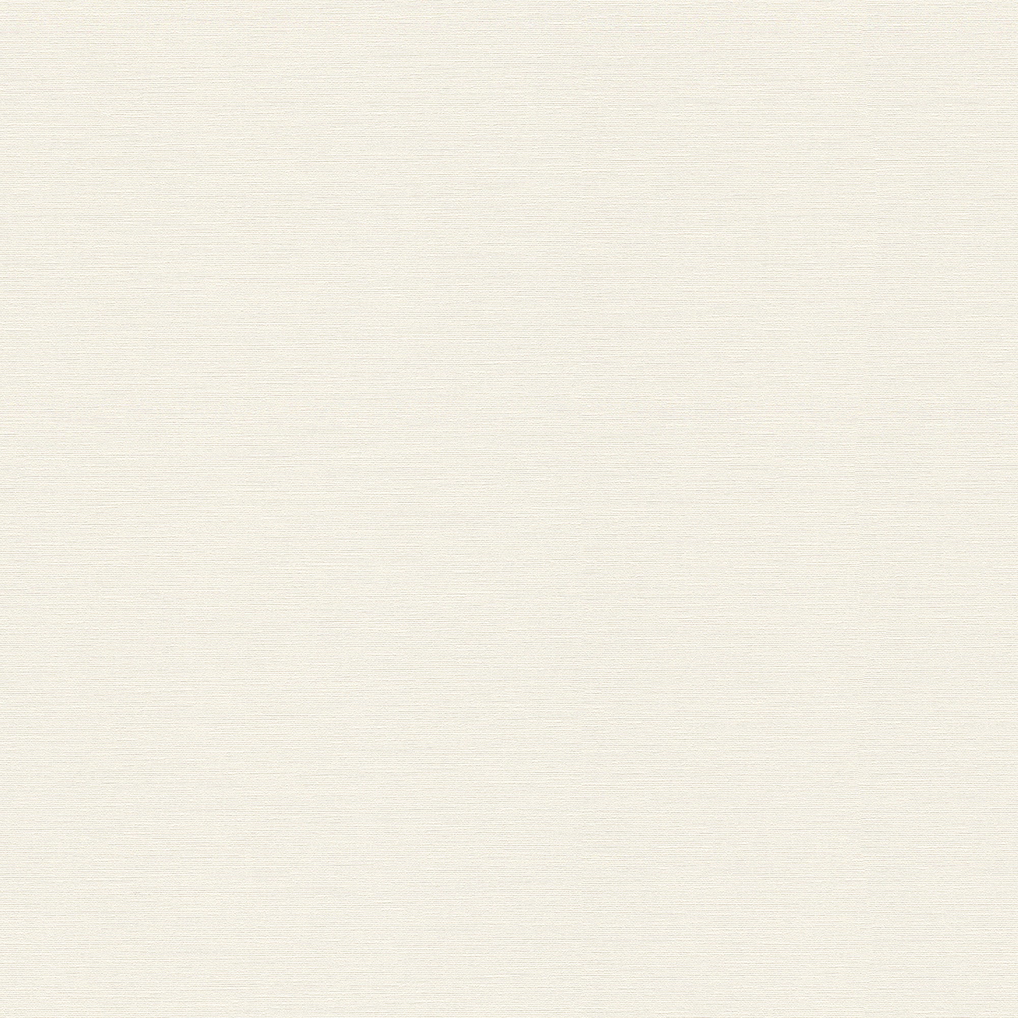 BW51036 Plain Texture Blooming Wild White Wallpaper By Galerie