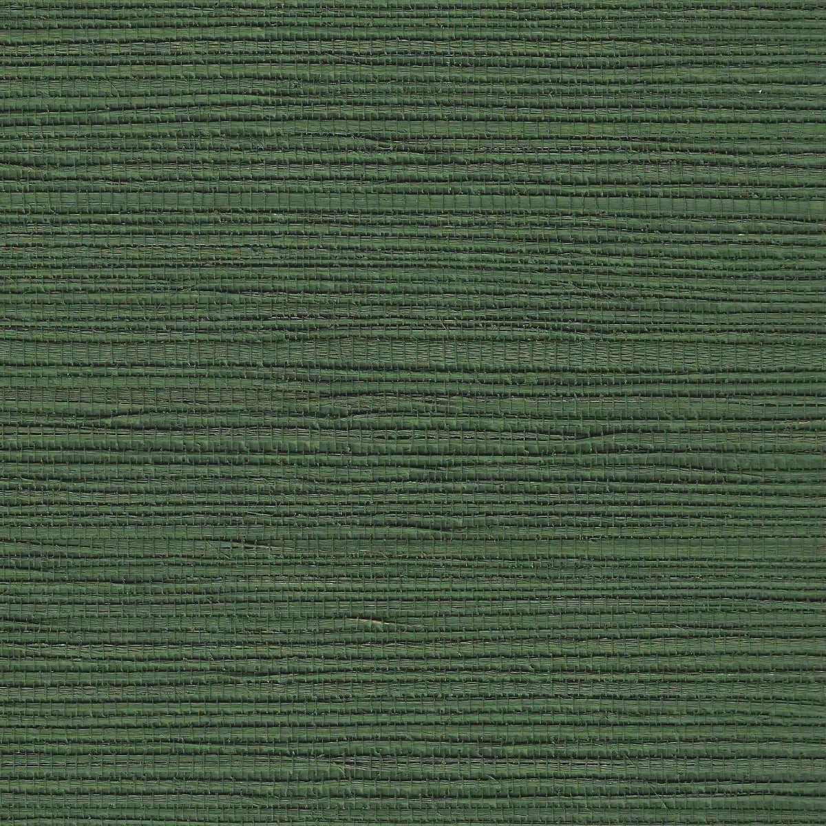 Lorcha Hemp Green Daisy Bennett Wallpaper by Galerie