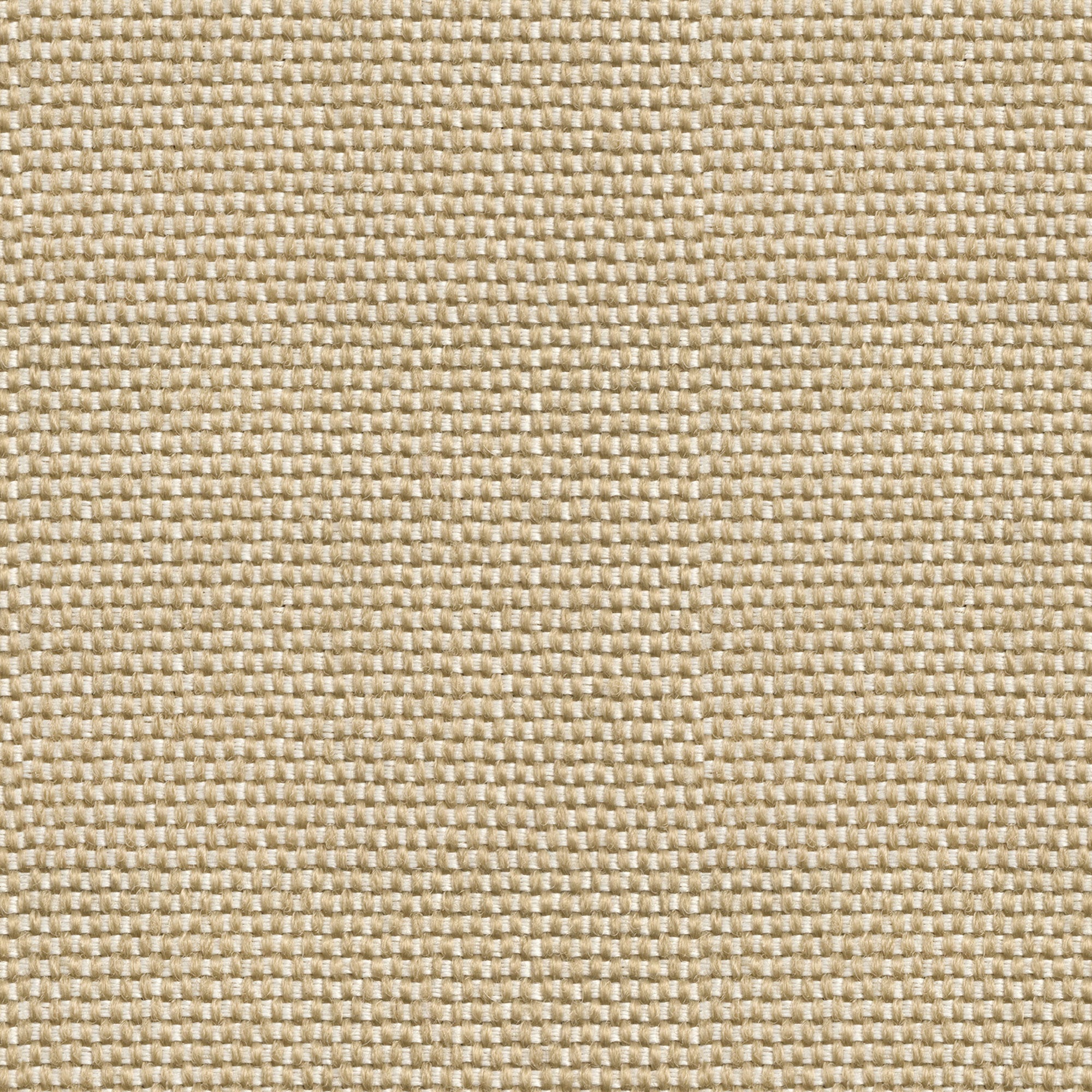 Yuca Arena Sarape Wallpaper by Coordonné