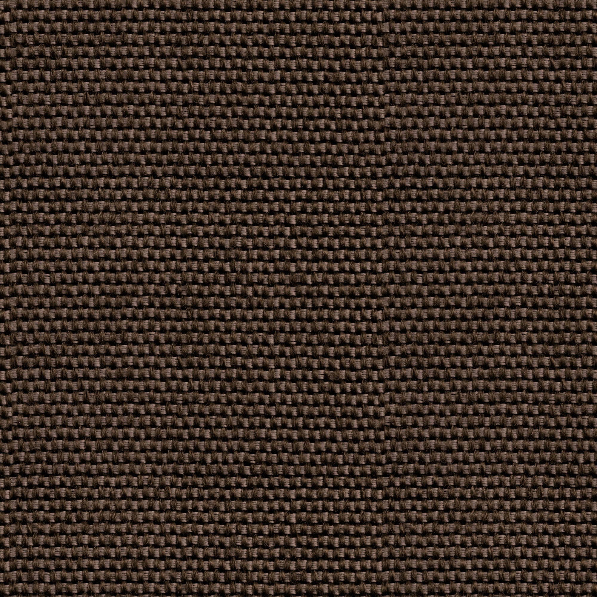 Yuca Carbón Sarape Wallpaper by Coordonné