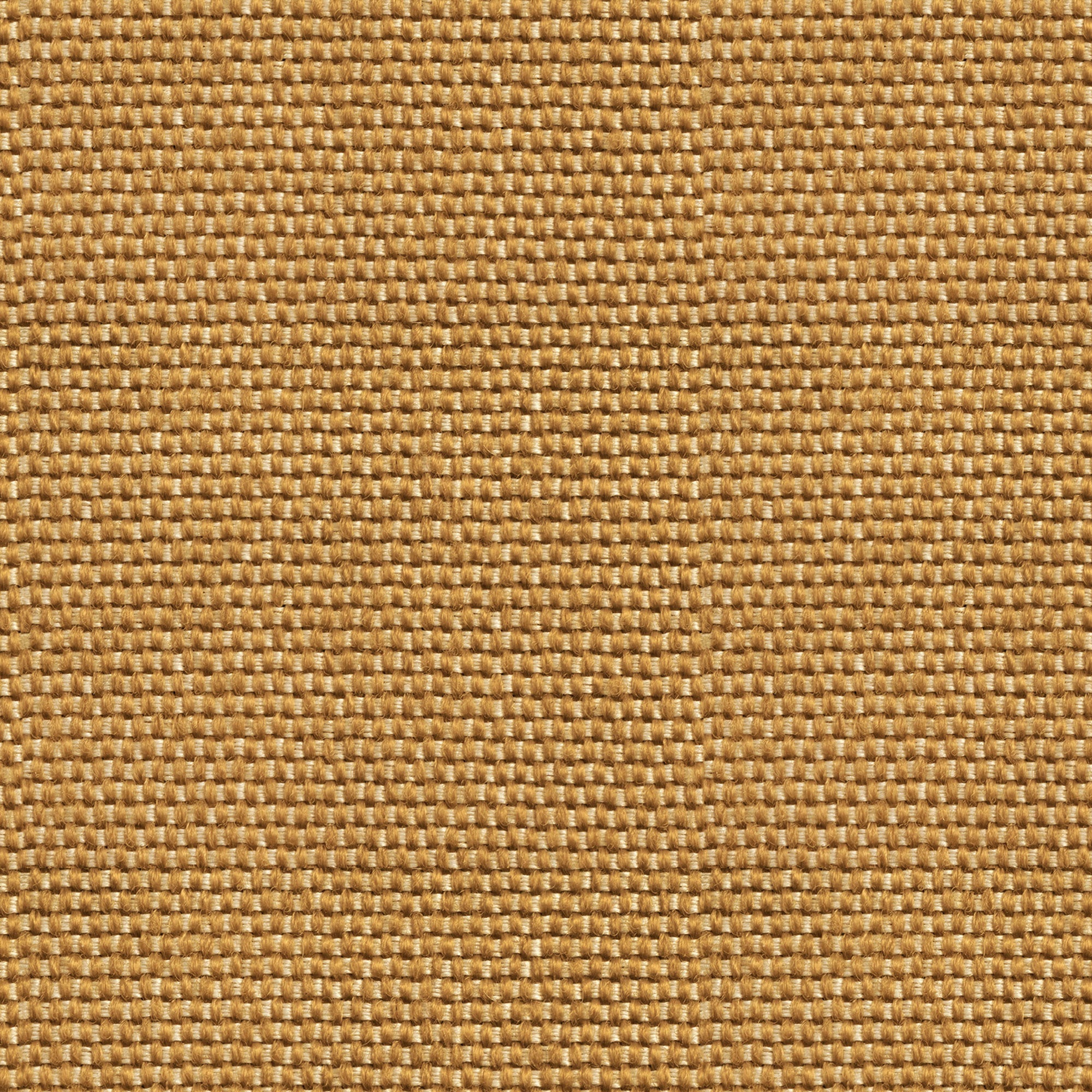 Yuca Mostaza Sarape Wallpaper by Coordonné