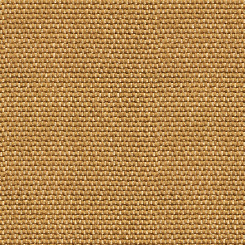 Yuca Mostaza Sarape Wallpaper by Coordonné