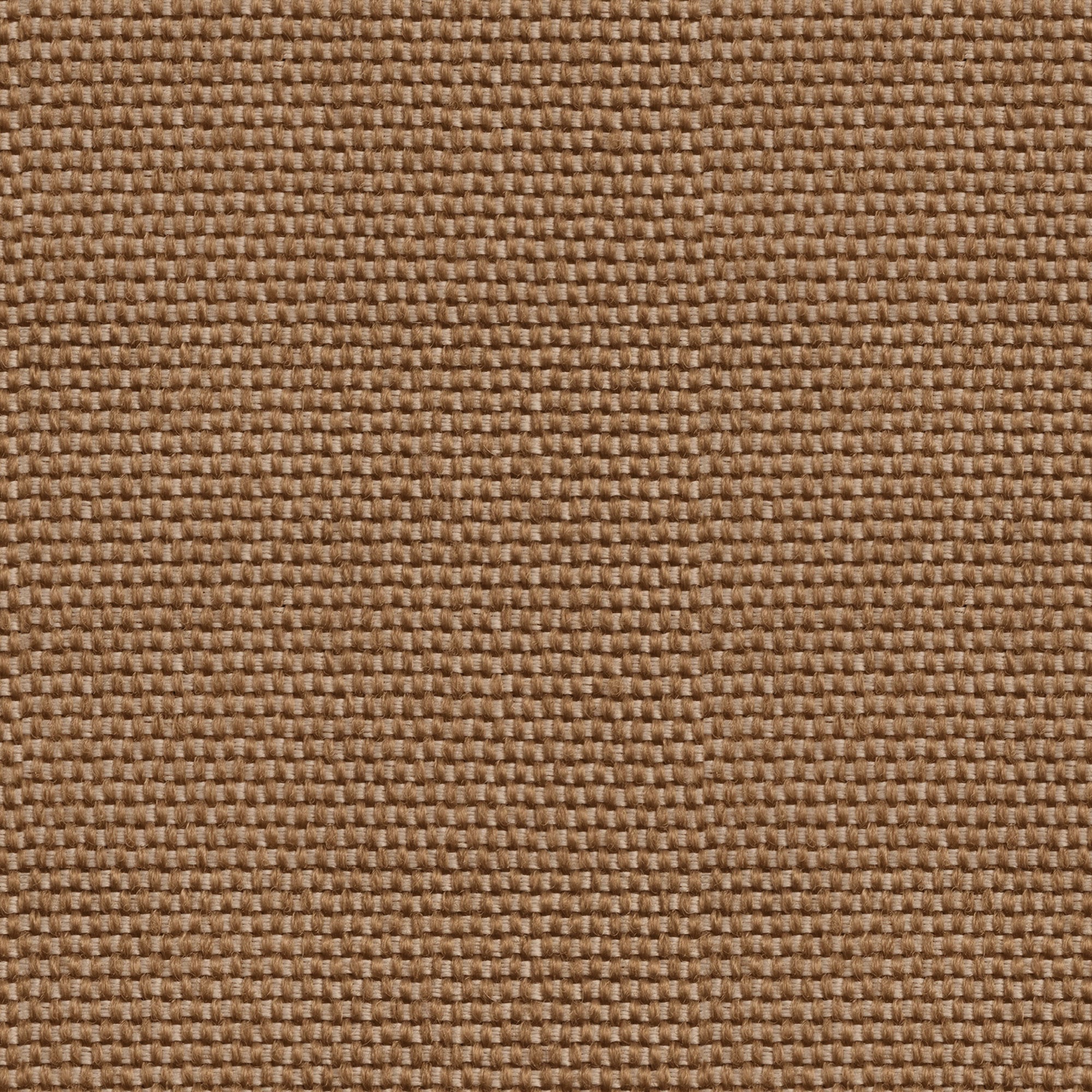 Yuca Sombra Sarape Wallpaper by Coordonné