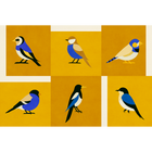 Like a Bird Golden Coco Dávez Colortherapills Wallpaper by Coordonné