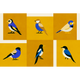 Like a Bird Golden Coco Dávez Colortherapills Wallpaper by Coordonné