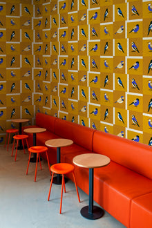 Like a Bird Golden Coco Dávez Colortherapills Wallpaper by Coordonné