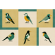 Like a Bird Kumquat Coco Dávez Colortherapills Wallpaper by Coordonné