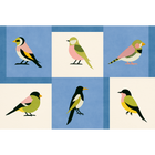 Like a Bird Blue Coco Dávez Colortherapills Wallpaper by Coordonné