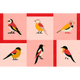 Like a Bird Pink Coco Dávez Colortherapills Wallpaper by Coordonné