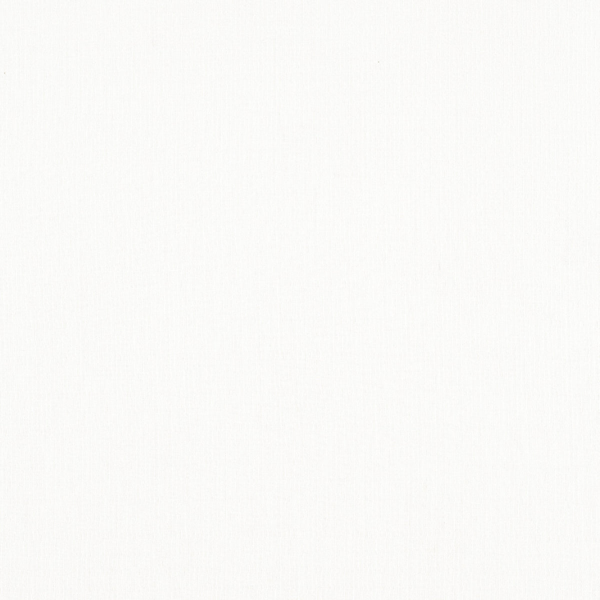 Istrottora White on White Spring 2024 Fabric by Coraggio — flat