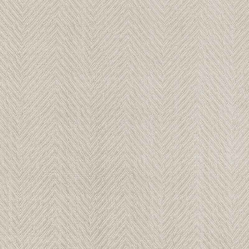 La Cumbre Drive Flax Thomas Lavin Fabric by Coraggio — flat