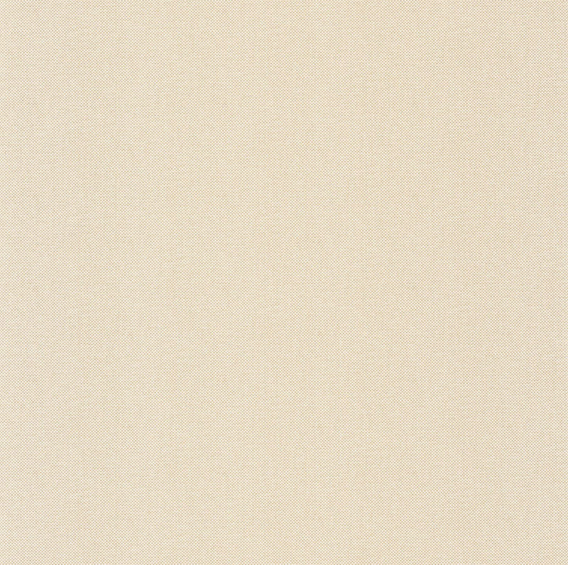 101570026 Uni Natte Metallises Blanc Or Wallpaper by Caselio