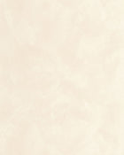 MIP106080000 Uni Mat Chalk Wallpaper by Caselio