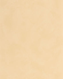 MIP106081120 Uni Mat Beige Dune Wallpaper by Caselio