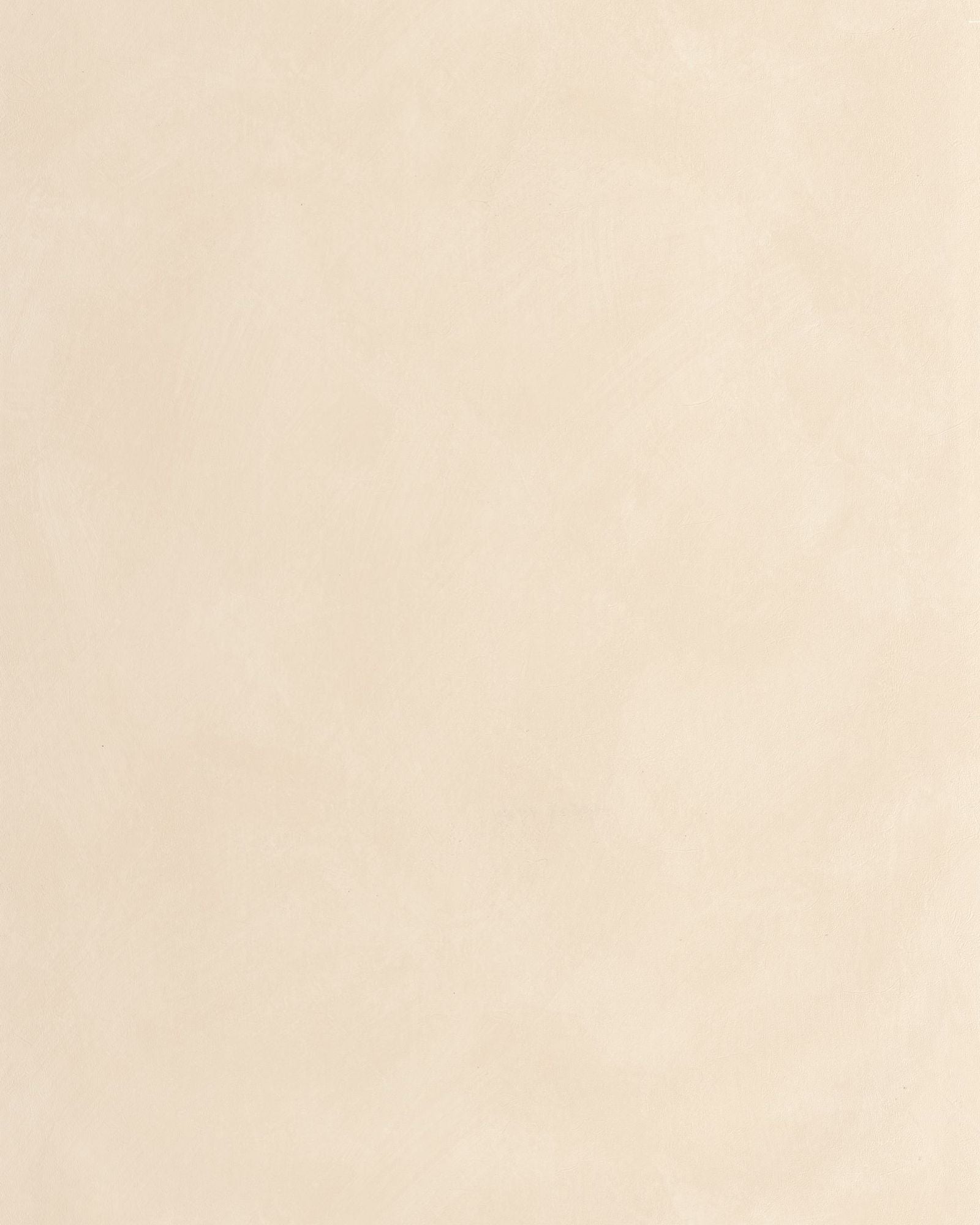 MIP106081169 Uni Mat Sand Wallpaper by Caselio