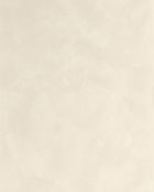 MIP106081520 Uni Mat Beige Taupe Clair Wallpaper by Caselio