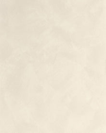 MIP106081520 Uni Mat Beige Taupe Clair Wallpaper by Caselio