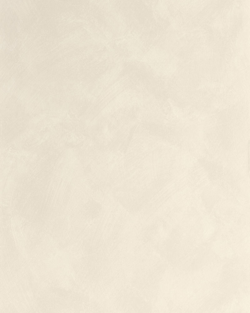 MIP106081520 Uni Mat Beige Taupe Clair Wallpaper by Caselio