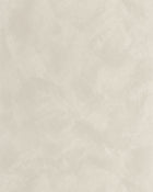MIP106089232 Uni Mat Grey Galet Wallpaper by Caselio