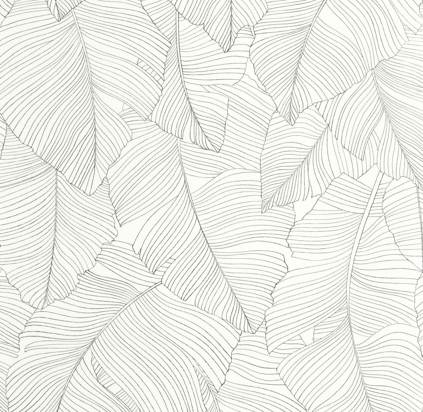 106500929 Vegetalia Noir Et Blanc Wallpaper by Caselio
