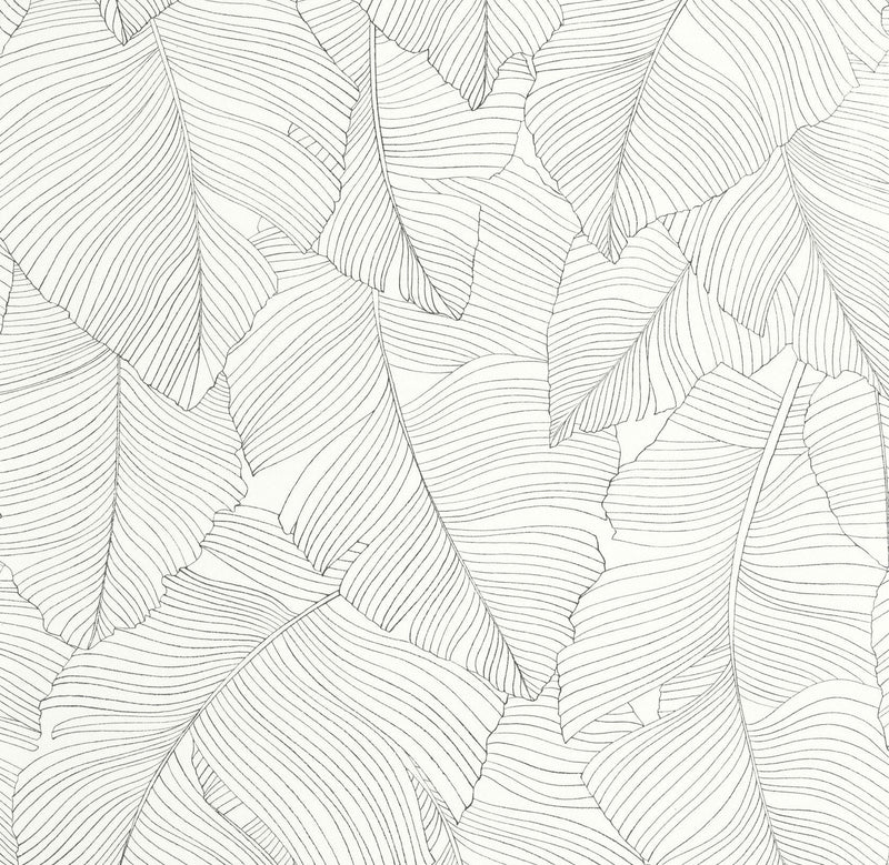 106500929 Vegetalia Noir Et Blanc Wallpaper by Caselio