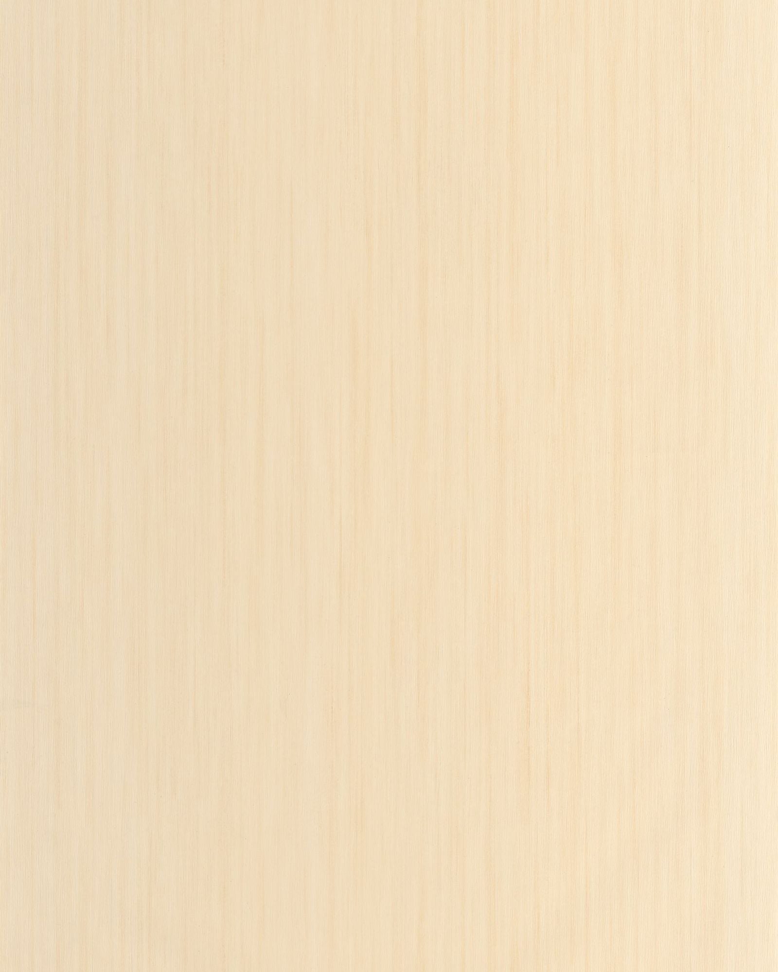 MIP106801000 Uni Lignosa Beech Wallpaper by Caselio