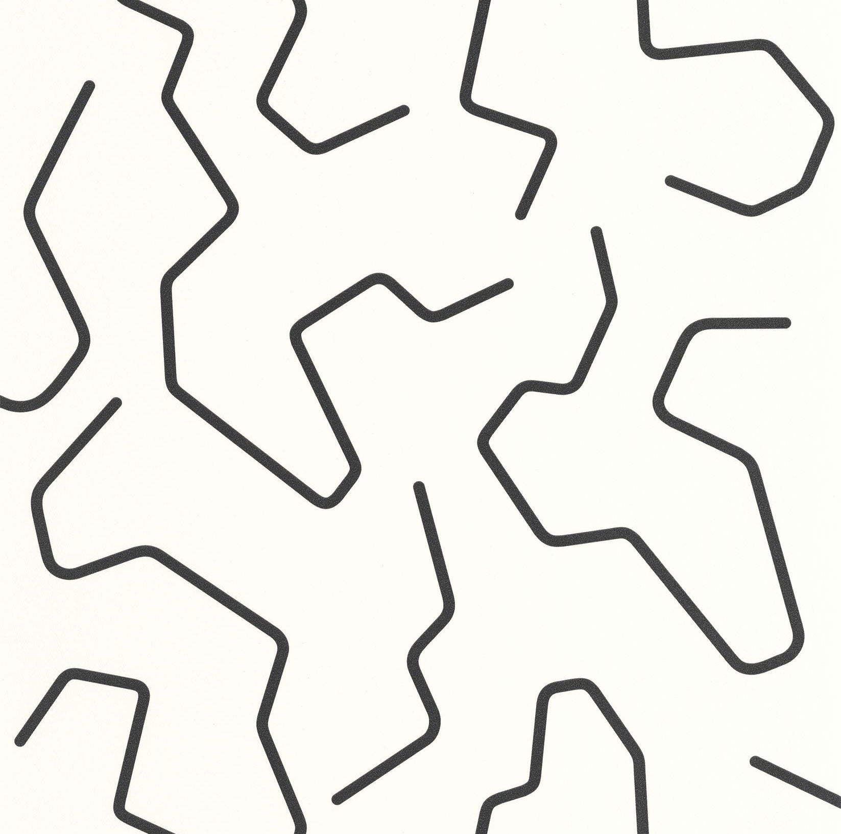 107100972 Art Line Noir Et Blanc Wallpaper by Caselio
